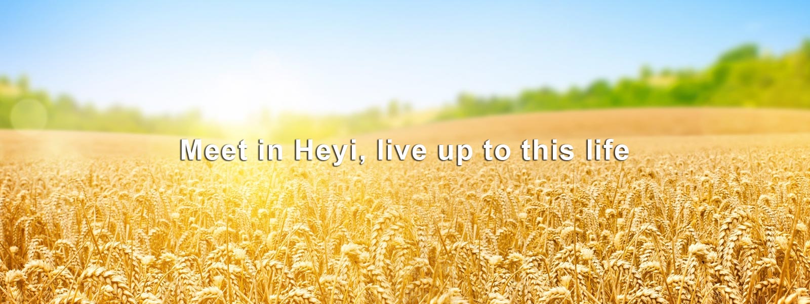 hyagro.com